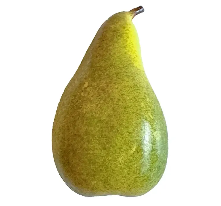 Kunstig pære af plast i grøn