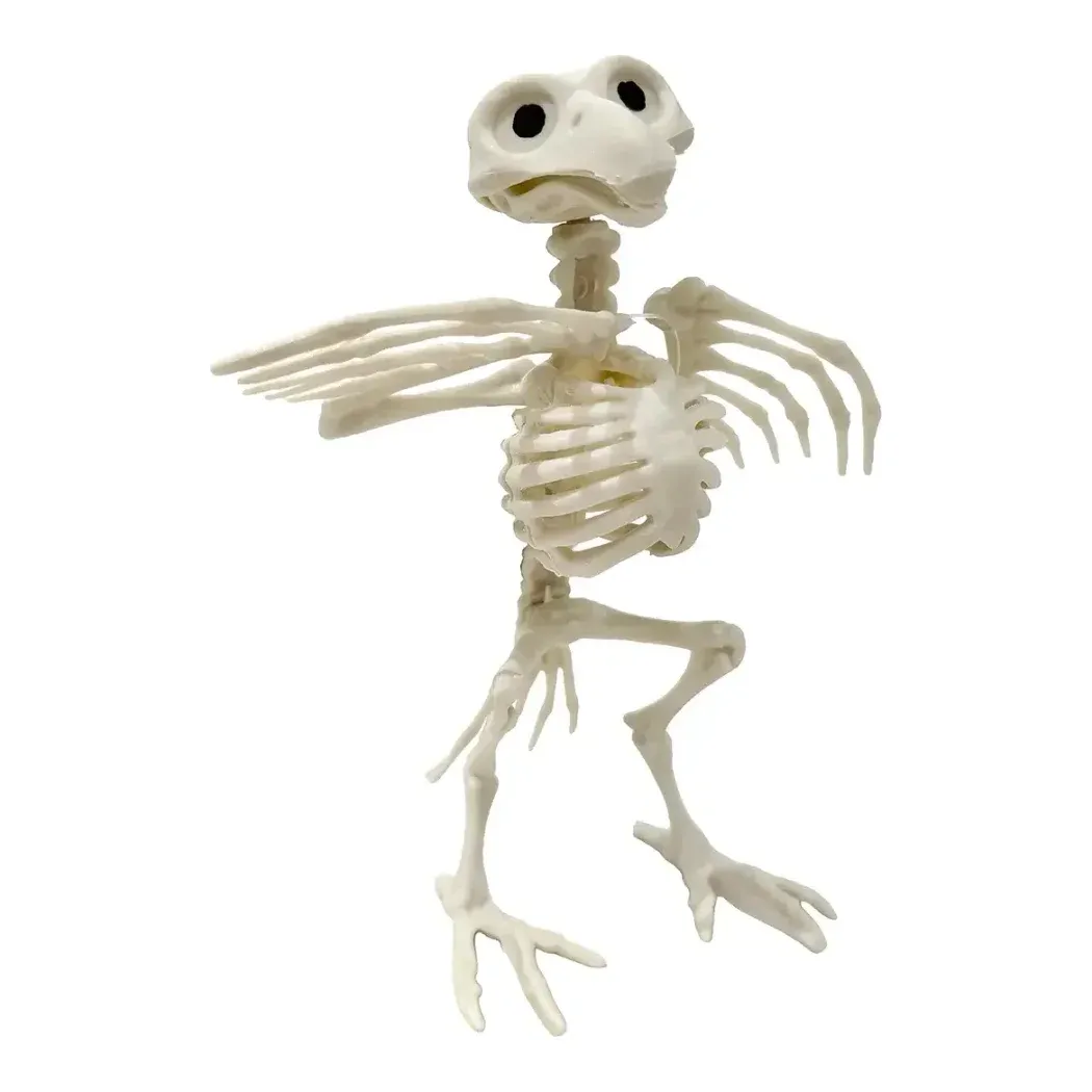Fugl Krage skelet af plast i hvid med bevægelige dele