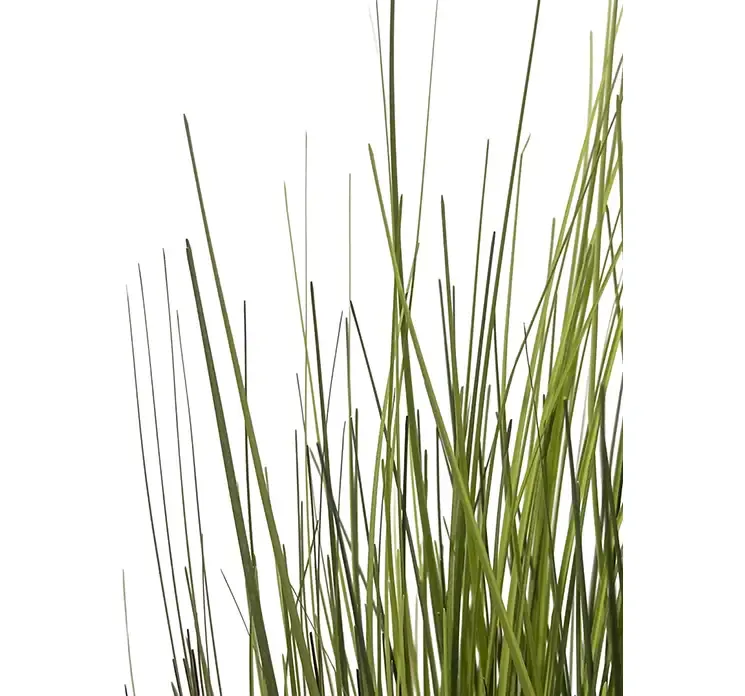 Kunstig bjørnegræs i sort potte af plast closeup af græs