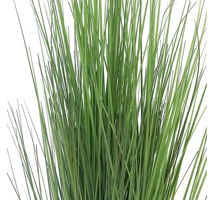 Kunstig græs også kaldet festuca i sort potte, af plast, closeup af græs