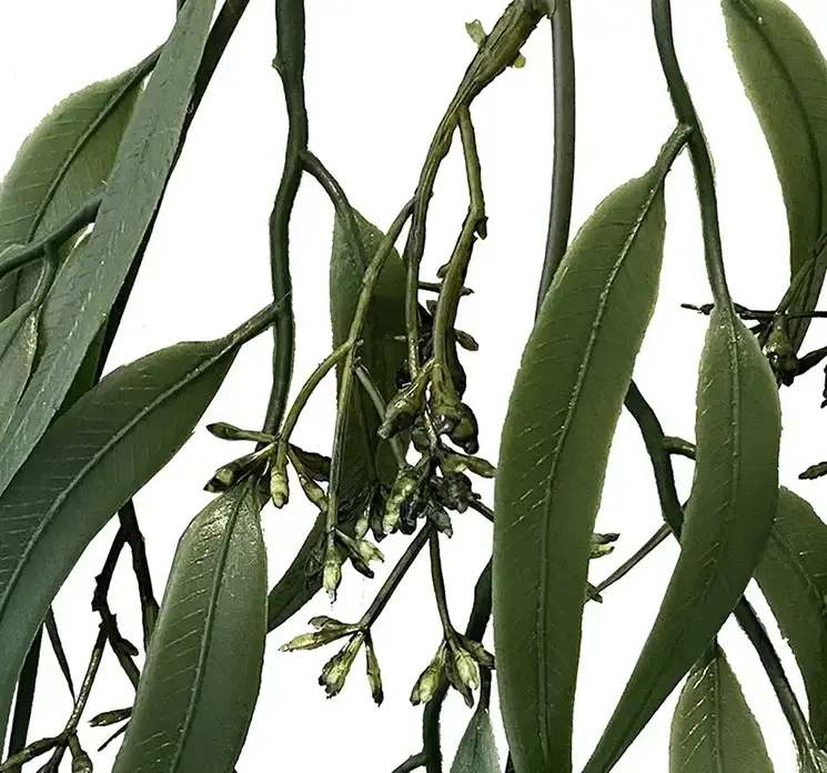 Græs hænger med frø kunstig plante af plast i grøn 89cm closeup