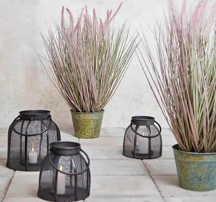 Græs af plast lampe pudser også kaldet penniseum i grøn og lyserød sat i zink potte vist i terrassemiljø med lanterner
