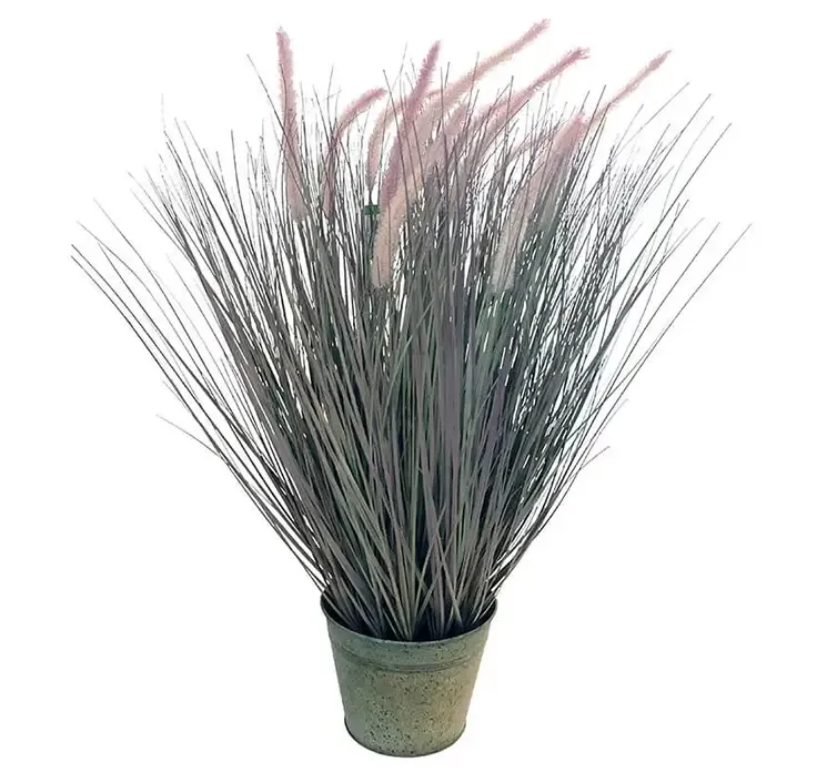 Græs af plast lampe pudser også kaldet penniseum i grøn og lyserød sat i zink potte 