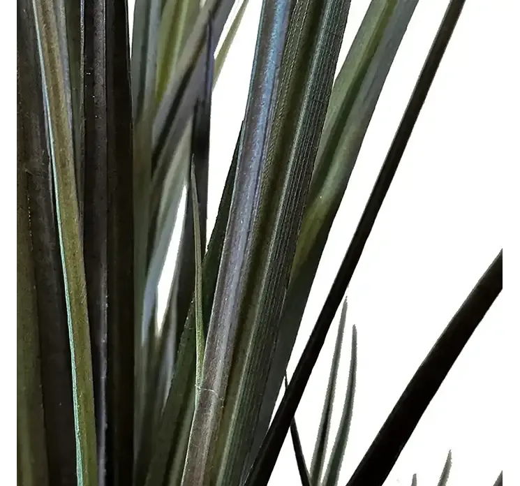 Græs i sort potte af plast uv-beskyttet kunstig græs closeup