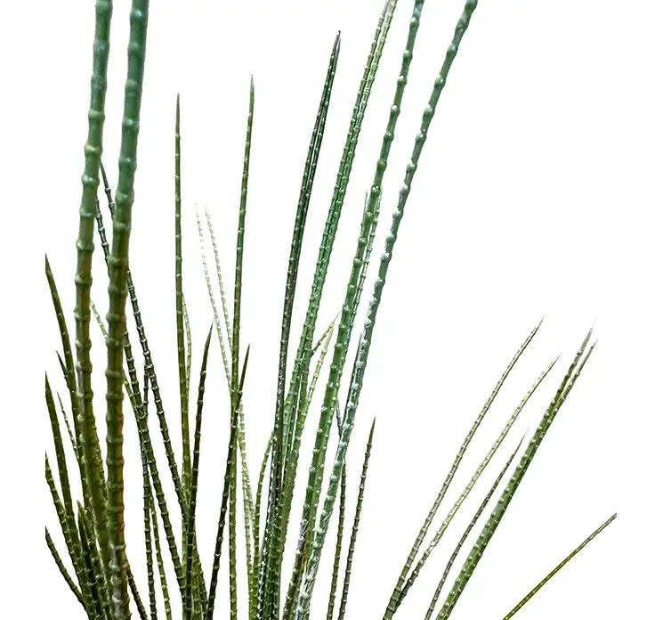 Kunstig uv beskyttet græs på stilk closeup