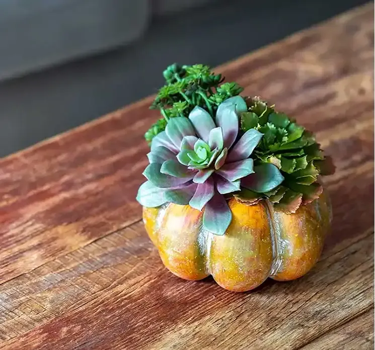 Kunstig plante sukkulent også kaldet echeveria af plast i grøn og orange vist i diy projekt med kunstig græskar