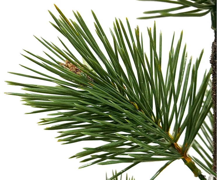 Kunstig fyrretræ i potte, kunstig grantræ closeup