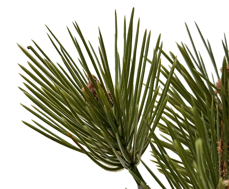 Kunstig fyrretræ i sort potte, grantræ closeup