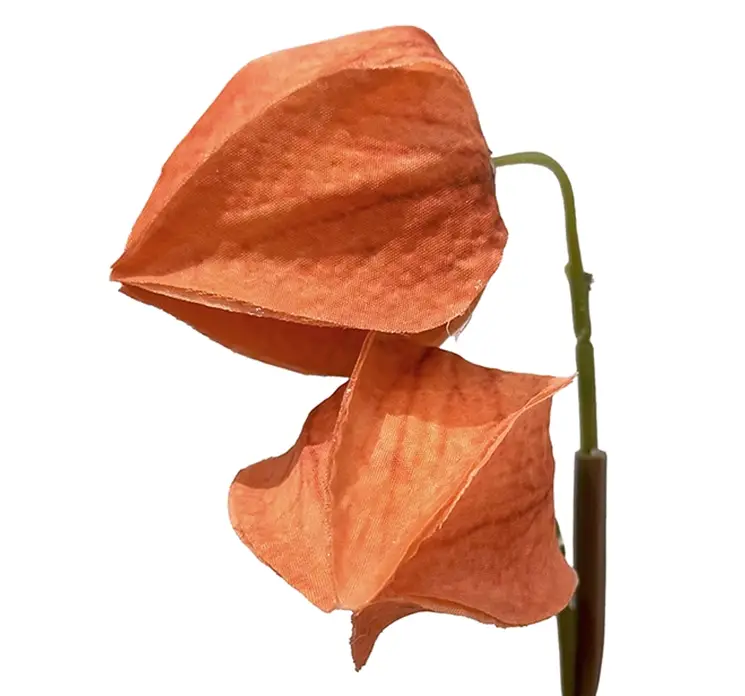 Ananaskirsebær også kaldet Japansk lygte, Physalis kunstig gren af plast i orange closeup