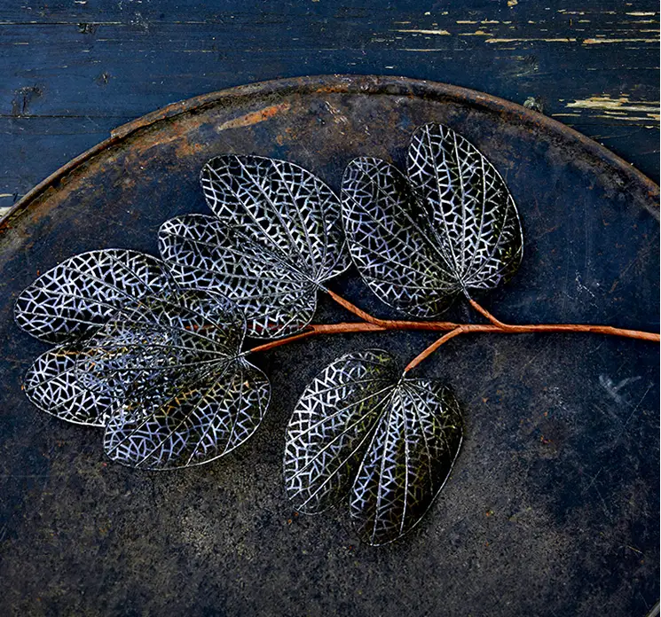 Gren med huller i bladene kunstig af plast i sort vist på et mørkt metalfad som pynt