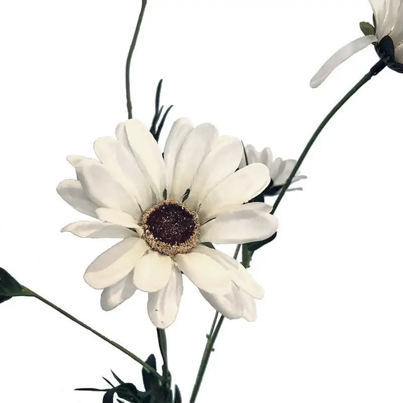 Marguerit gren med hvide blomster, kunstig closeup