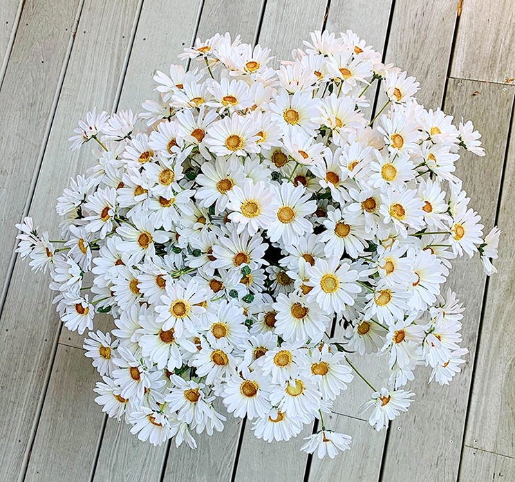 Marguerit grene med hvide blomster, kunstig, samlet i en buket på et trægulv