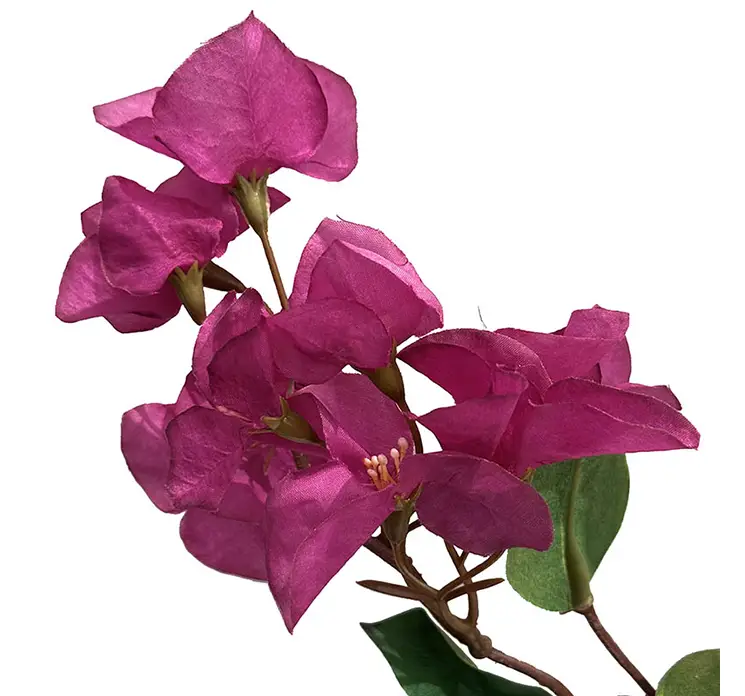 Bourgainvillea kunstig blomster gren af plast i lilla closeup