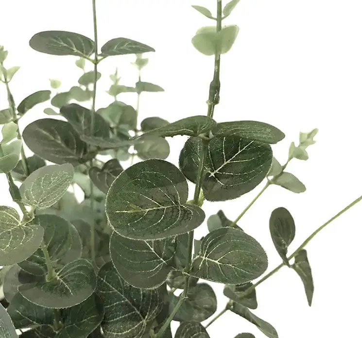eukalyptus på stilk kunstig gren af plast i støvet grøn 47cm closeup