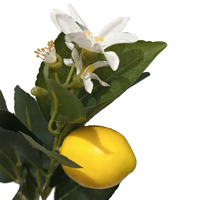 Citron gren kunstig med citroner af plast i gul og grøn 58cm closeup