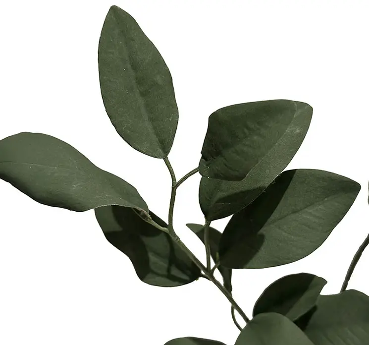 Eukalyptus gren kunstig af plast i grøn 73cm closeup
