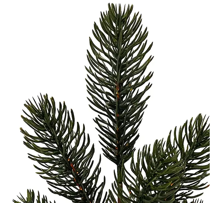 Gren kunstig gran af plast i grøn model nisse 50cm closeup