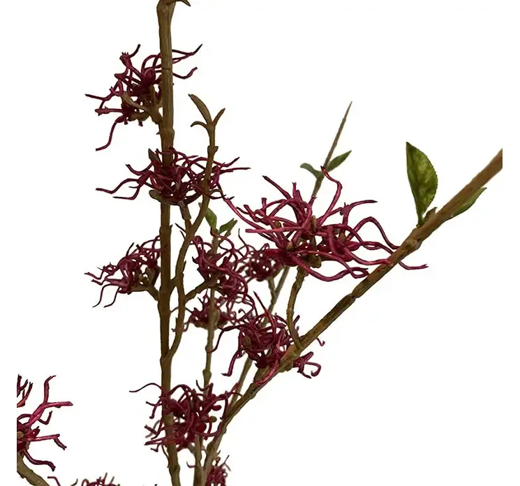 Kunstig hasselnødde gren af plast i bordeaux closeup