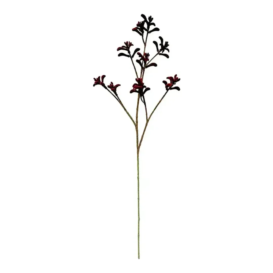 Kængurupote også kaldet anigozanthos kunstig blomst af plast i bordeaux