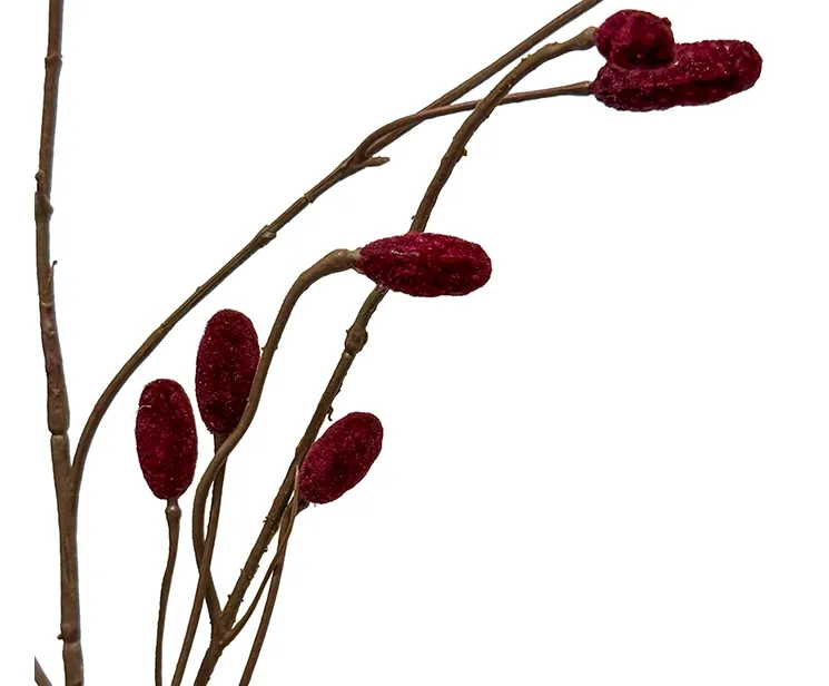 kunstig gren kvæsurt, sanguisorba med røde knopper closeup