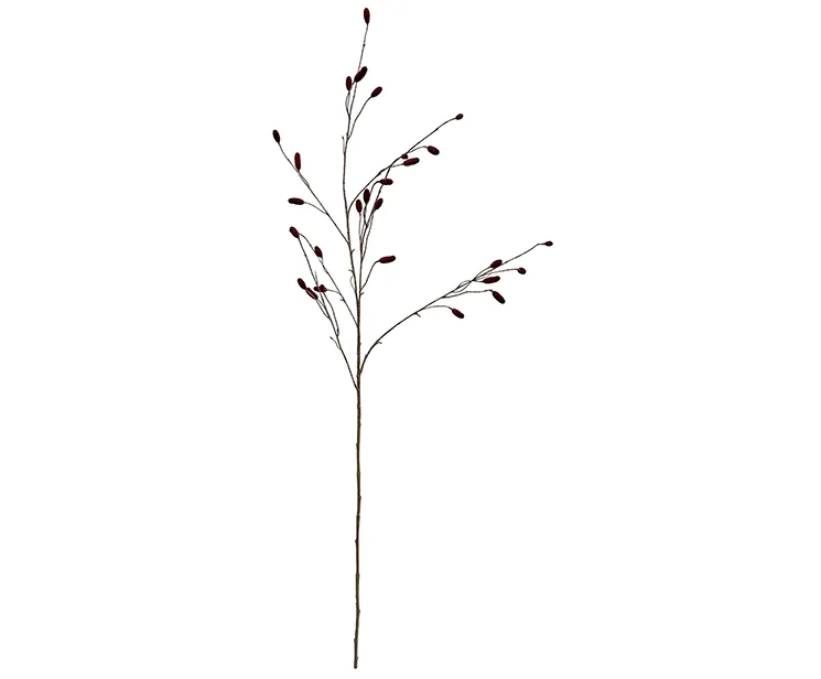 kunstig gren kvæsurt, sanguisorba med røde knopper
