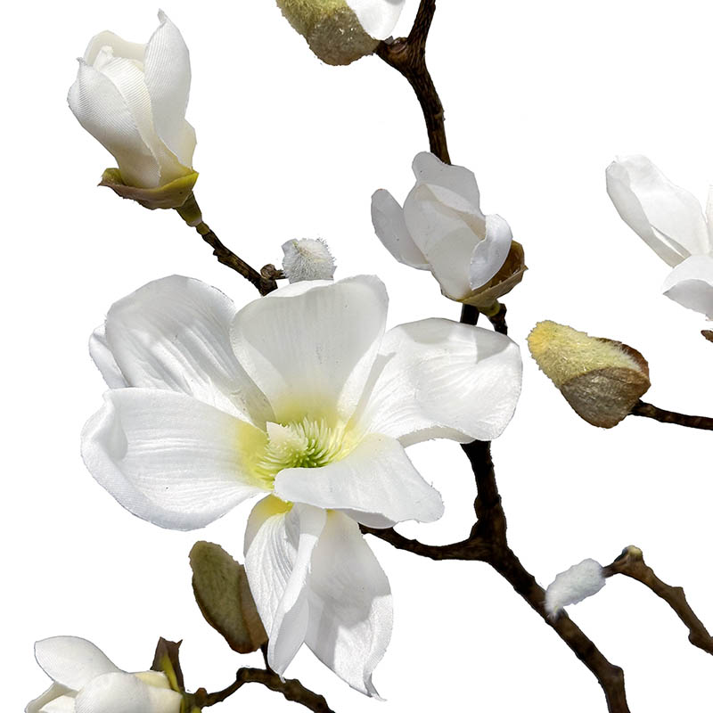 Kunstig magnolia med hvide blomster af plast closeup