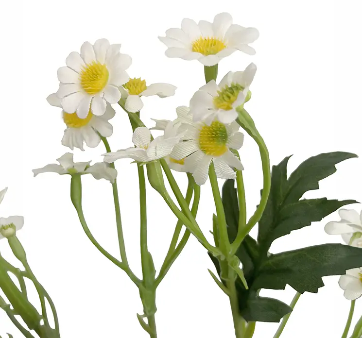 Marguerit også kaldet matrem kunstig blomstergren af plast med hvide blomster closeup