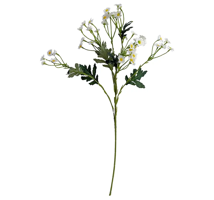 Marguerit også kaldet matrem kunstig blomstergren af plast med hvide blomster