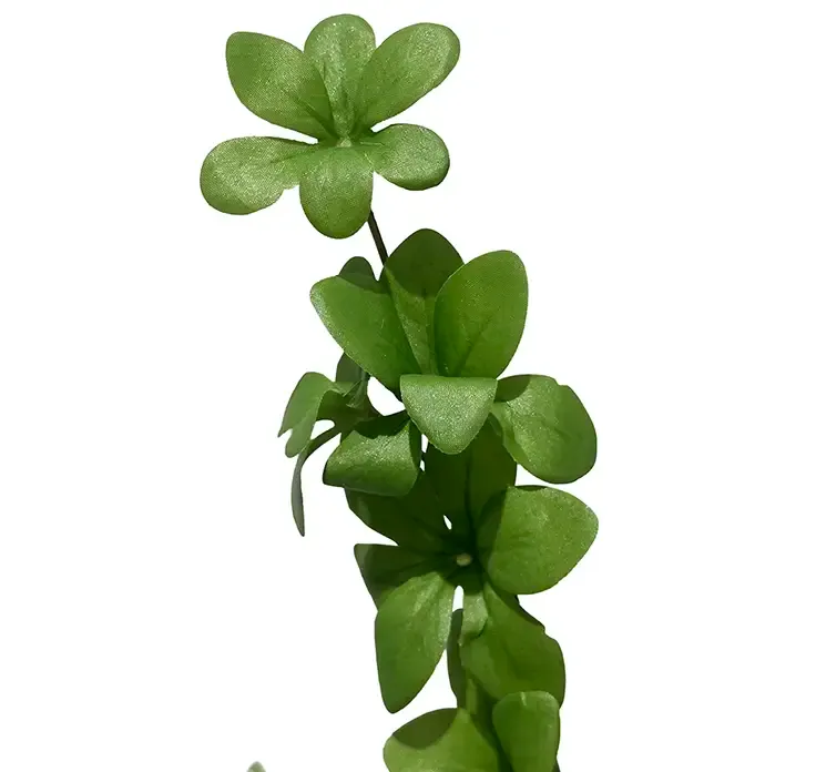 Kunstig tropaeolum speciosum gren af plast i grøn closeup