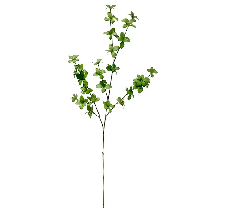 Kunstig tropaeolum speciosum gren af plast i grøn