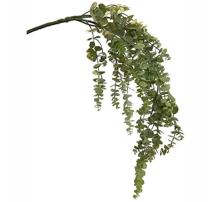 Kunstig eukalyptus hænger i grøn af plast