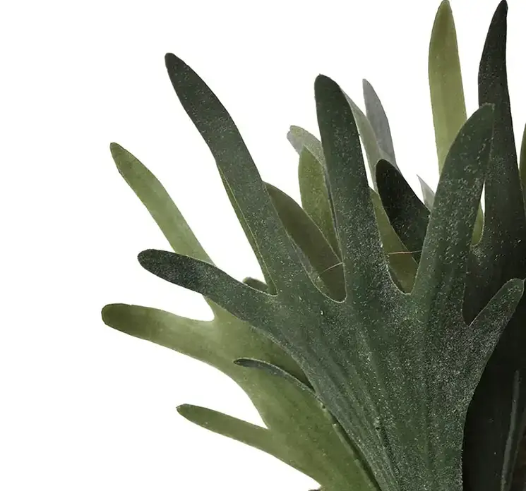 Hjortetaksbregne platcerium på stilk kunstig plante af plast i grøn 27cm closeup