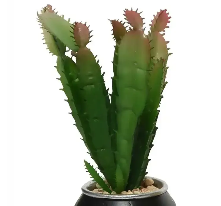 Kunstig kaktus i dåse af plast closeup af kaktus