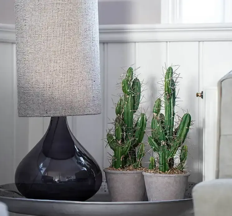 Kunstig kaktus stetsonia af plast i grøn vist i stuemiljø på lille hjørnebord