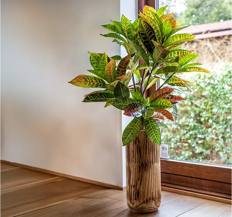 Kunstig krotontræ i sort potte af plast og med farvede blade vist foran vindue i stuemiljø