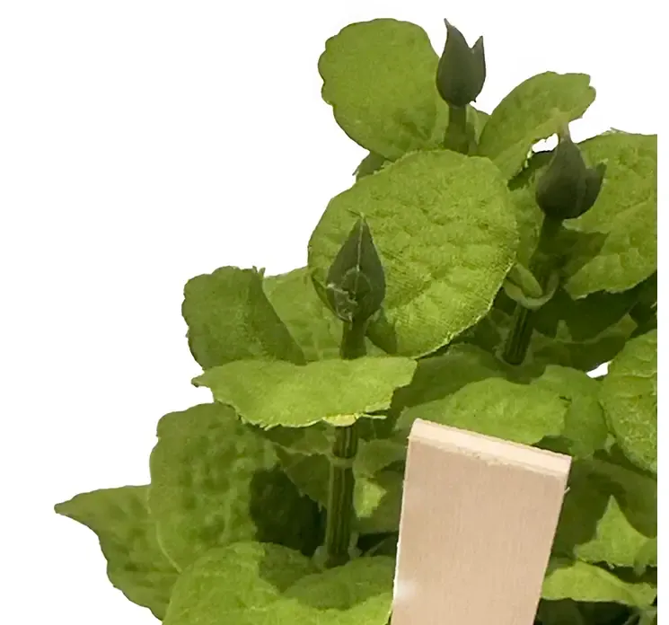 Kunstig basilikum krydderurt i potte af plast closeup