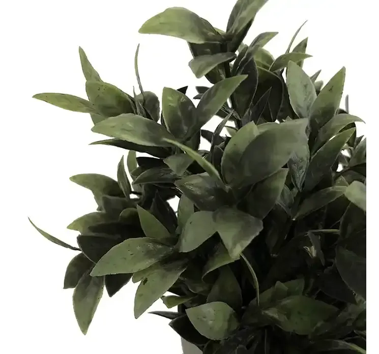 Kunstig kirsebærlauerbær i potte af plast closeup