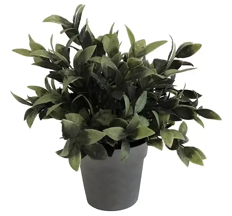 Kunstig kirsebærlauerbær i potte af plast