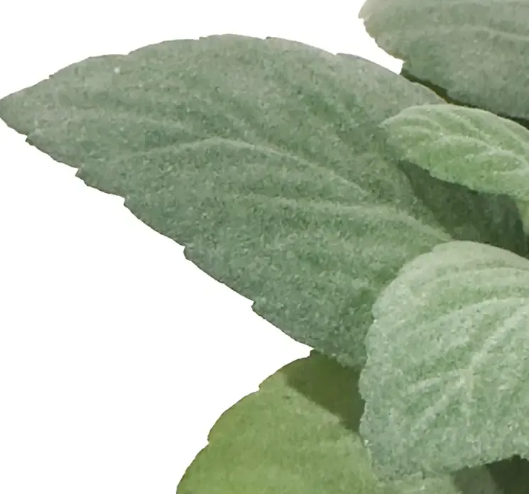 Kunstig mint krydderurt i potte af plast closeup