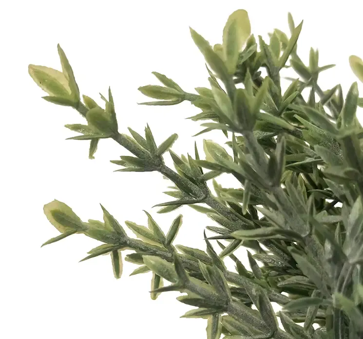 Kunstig rosmarin krydderurt i potte af plast closeup