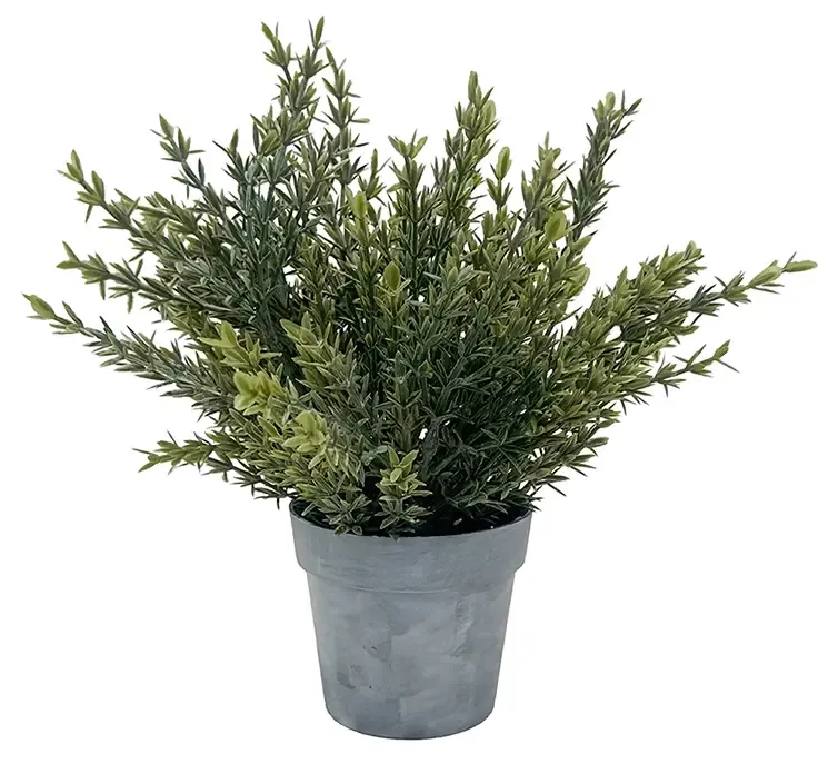 Kunstig rosmarin krydderurt i potte af plast