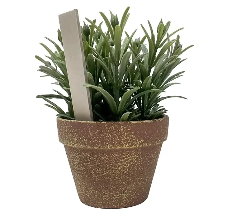 Kunstig timian krydderurt i potte af plast