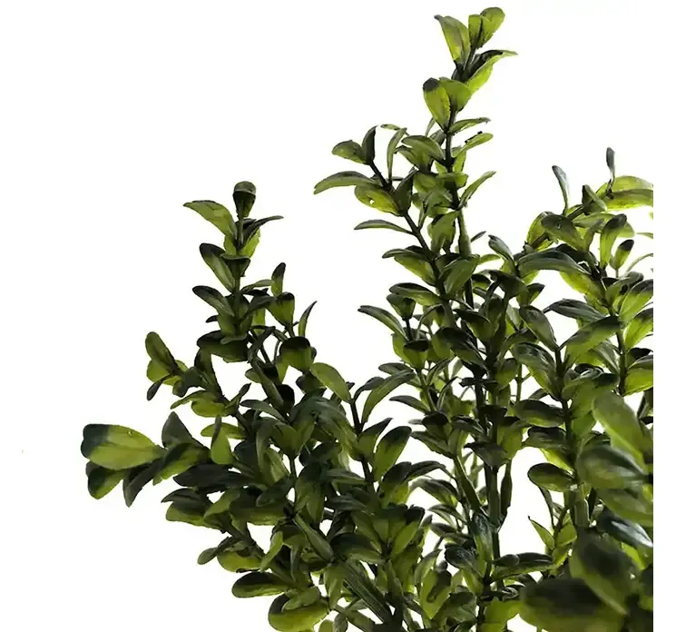 Liguster kunstig gren af plast i grøn closeup