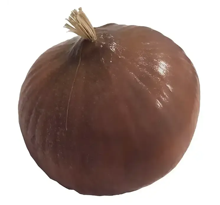 Løg i brun af plast kunstig mad