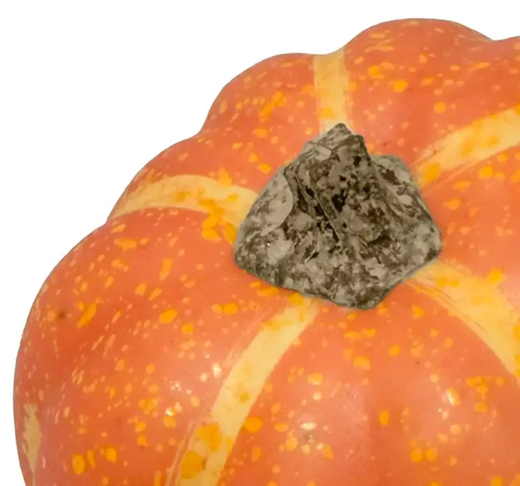 Græskar af plast i orange kunstig mad closeup