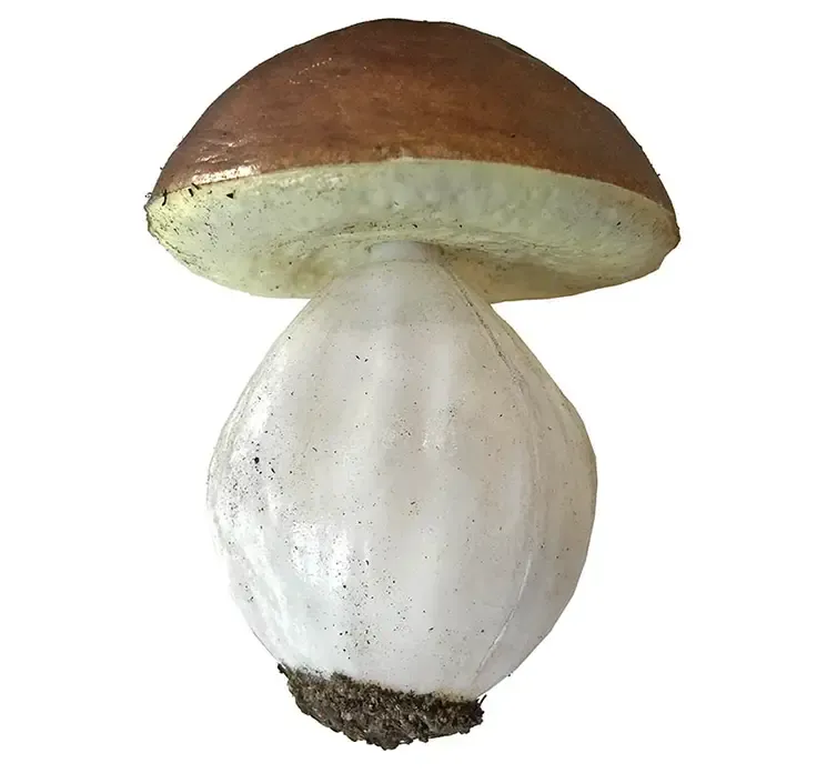 Kunstige champignonger af plast closeup