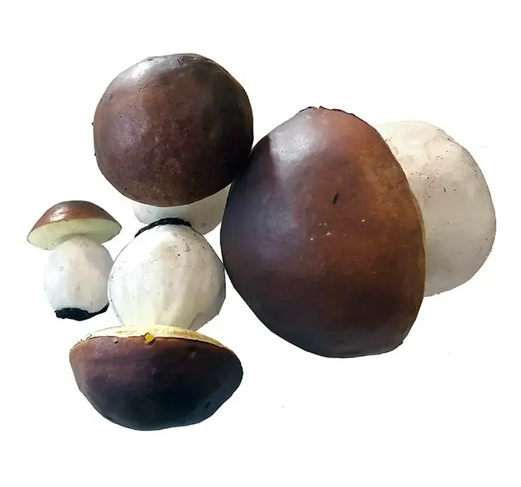 Kunstige champignonger af plast