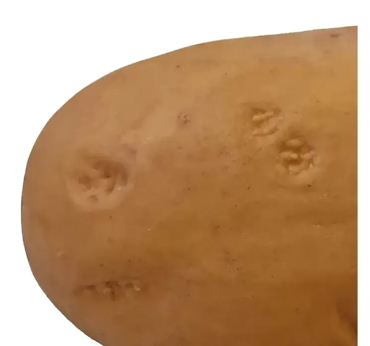 Kunstig kartoffel af plast i brun closeup