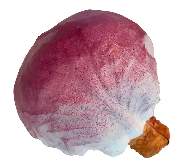 Kunstig rødkål hoved af plast