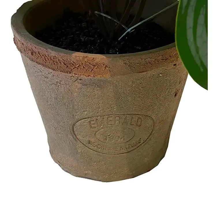 Kunstig peperomia mini plante af plast i ler krukke closeup af potte